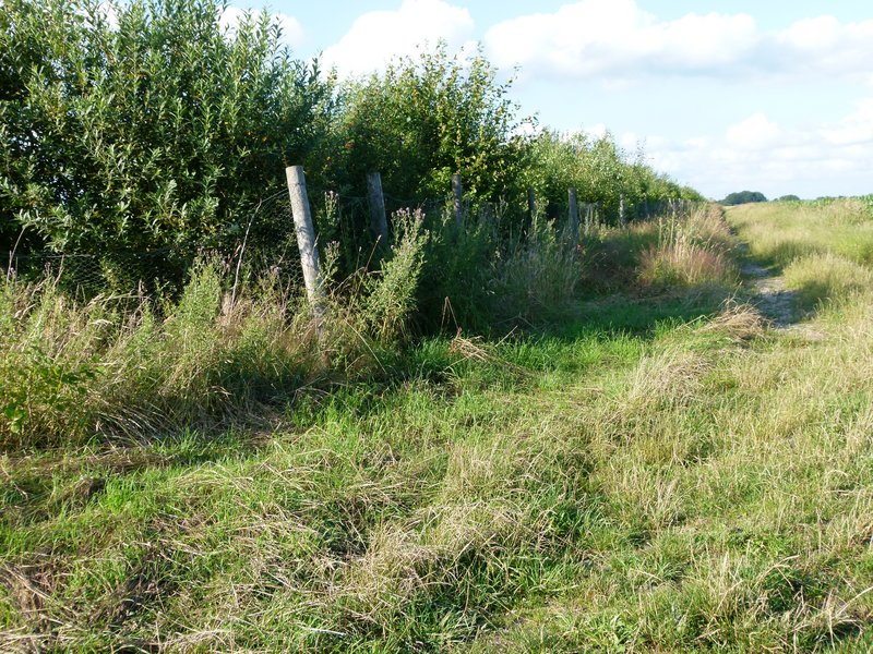 News Artikel Jagerschaft Rotenburg Wumme E V